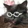 idkman_new.user