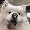 rania._.410