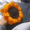 frann_1115