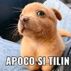 edsonhappii