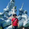 user223208201096