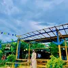 chunghoai21d