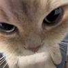 littlepaaaw