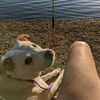 pnwsunshinegal