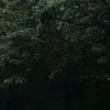 ltxye2