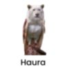 h4kuurizz