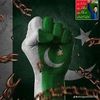 almarkhan241