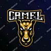 camel_gamimg