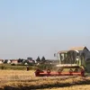 cedrictholliez