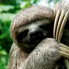 pandacutzz