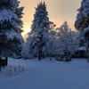 mikael.k08