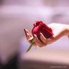 alham_011