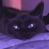 ravenraven678