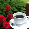 norah_4400