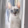 zarapuenteromero