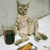 vn_wng03