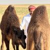 الـــغـــربـــي
