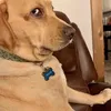 noenow2