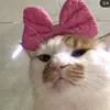 mango1996mango