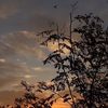 alhnoof_06