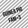 guinea_pig_fam_101