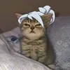 _weyzen_