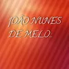 joanneverofmeloneto