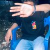 tegarrrrrr_02
