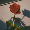 who.is_ramsha