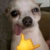 gregor_2122