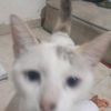 maru_zxan