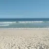 monicagata51