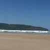 cc71644