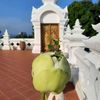 atsadaporn_30806