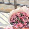 wanii24_