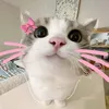 thaonhiyt