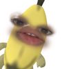 nichacicu