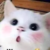 yamatotayho