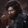 shanijaved71