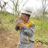 Hiền thiết bị mỏ
