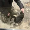 mojaljubavmojproliv