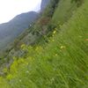 qubalibalasi.040