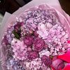 ranessa_211