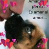 alondradiestro1