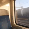 jjamaluvspamik