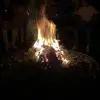 arnogebruers