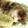_papita_01