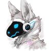cuenta_random_o