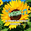🌻𝓜𝓾𝓼𝓲𝓬14𝓷𝓵🌻🎶