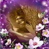 user2067852983704